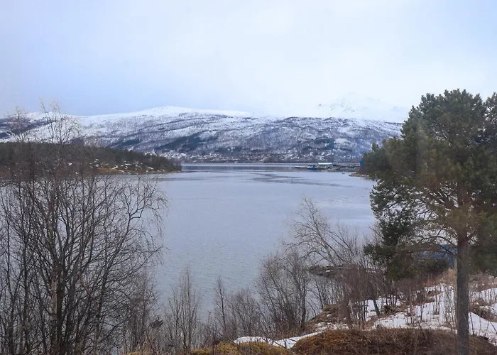 Senja - Charming By The Sea With Terrace And Fantastic View